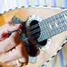 Musica per matrimoni con mandolino.